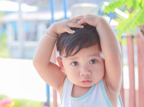 康音贝贝官方公众号上线发布会